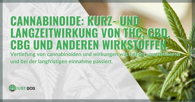 Cannabinoide: Kurz- und Langzeitwirkung von THC, CBD, CBG