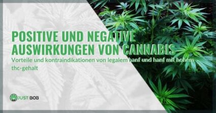 Positive und negative Auswirkungen von Cannabis