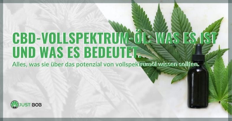 CBD-Vollspektrum-Öl: Was es ist und was es bedeutet