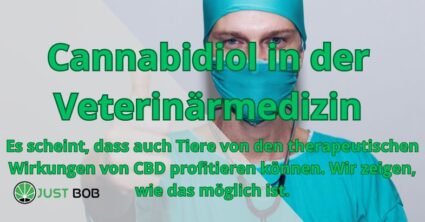 cannabidiol in der Tierarzt