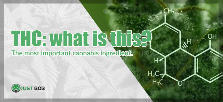 THC: Was ist Tetrahydrocannabinol?