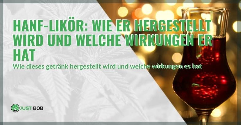 Hanf-Likör: Wie er hergestellt wird und welche Wirkungen er hat